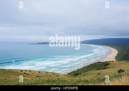 Papatowai, Catlins Conservation Area, Otago, Neuseeland. Blick über die Bucht von tautuku Florenz Hill Lookout. Stockfoto