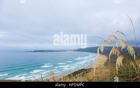 Papatowai, Catlins Conservation Area, Otago, Neuseeland. Blick über die Bucht von tautuku Florenz Hill Lookout. Stockfoto
