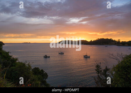 Oban, Southland, Stewart Island, Neuseeland. Blick über Halfmoon Bay bei Sonnenaufgang. Stockfoto