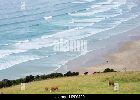 Papatowai, Catlins Conservation Area, Otago, Neuseeland. Blick über die Bucht von tautuku Florenz Hill Lookout. Stockfoto