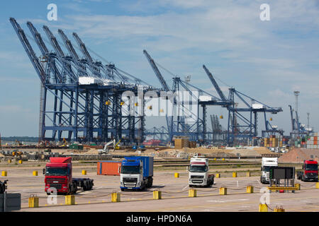 Krane und LKWs warten auf Container in Felixstowe Container Terminal und LKW-park Stockfoto