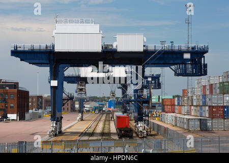 Container, die darauf warten, auf Züge in Felixstowe Containerterminal geladen werden Stockfoto