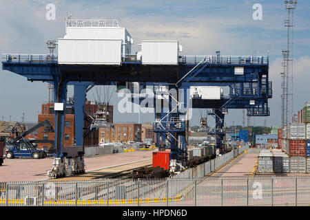 Krane und Container zu verladen werden Schiffe oder Züge auf Felixstowe Containerterminal, UK Stockfoto