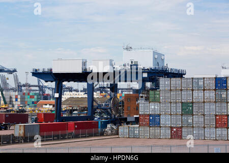 Krane und Container warten auf laden oder Entladen in Felixstowe Containerhafen, UK Stockfoto