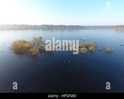 Zugefrorenen See in Delamere Wald, Cheshire Stockfoto