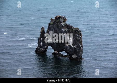 Trinken Drachen, ausgesetzt Rock in Island, Küste des Atlantischen Ozeans. Stockfoto