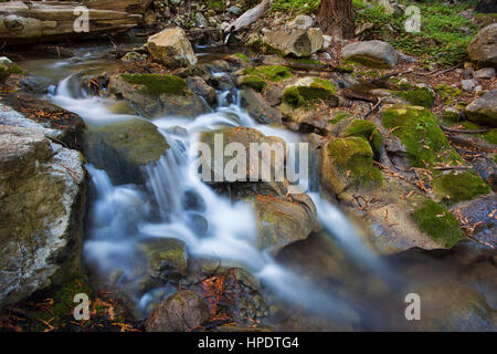 Einige fallen Farbe Hase Canyon Creek im Kalkofen State Park in Kalifornien, aus dem Pacific Coast Highway (SR-1). Stockfoto