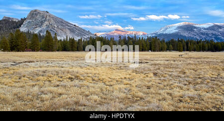 Weit offen Tuolumne Meadows Bereich der Yosemite-Nationalpark in Kalifornien. In der Nähe von Sonnenuntergang aufgenommen. Stockfoto