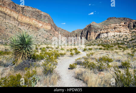 Eine Kies Wanderweg erstreckt sich in einer Wüstenlandschaft im Big Bend National Park in Texas. Stockfoto