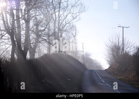 Sonnenstrahlen tief stehender streaming über Bäume, Wellen von Weißlicht, Silhoutted Bäume, Hecke und Teil der asphaltierten Straße im Vordergrund Stockfoto