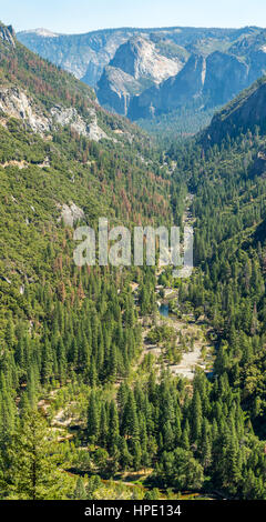 Ein Blick auf Yosemite Valley aus Big Oak Flat Road East in Richtung Kathedrale Felsen und Bridalveil Falls. Stockfoto