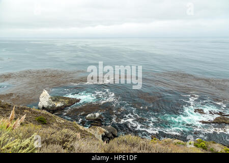 Der Pacific Coast Highway (State Route 1) ist eine wichtige Nord-Süd State Route, die entlang die meisten der pazifischen Küste des US-Bundesstaates von Cali Stockfoto