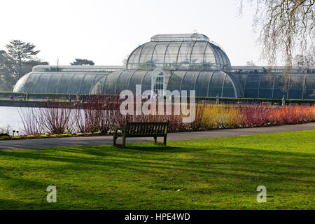 Orchideen-Ausstellung, tropische Pflanzen, Kew Garden Stockfoto