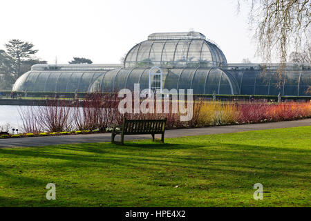 Orchideen-Ausstellung, tropische Pflanzen, Kew Garden Stockfoto