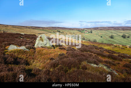 Glaisdale, Yorkshire, Großbritannien. Sonnenuntergang über den North York Moors National Park mit hohen Wollgras und einem isolierten Bauernhaus, umgeben von Ackerland in th Stockfoto