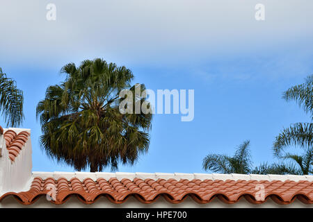 Nahaufnahme von einem Ziegeldach mit einem Palm und blauer Himmel im Hintergrund, Bild von Puerta De La Cruz-Teneriffa-Spanien. Stockfoto
