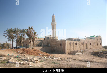 Israel, Küste North Herzilia Appolonia, Nationalpark, mit Ruinen von-2500 Urs der Perserzeit bis Crusador Periode. Stockfoto