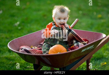 6 Monate alten Jungen in einer Schubkarre kauen auf einer karierten Decke sitzen. Stockfoto