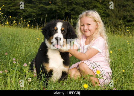 Näher Mit Jungem Berner Sennenhund in der Wiese - Mädchen mit Hund auf Wiese Stockfoto