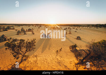 Die Pinnacles bei Sonnenuntergang im Nambung National Park, Western Australia Stockfoto
