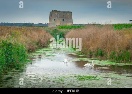 Suffolk Landschaft Fluss erhebt ein Martello-Turm über Küsten Marschland bei Bawdsey in Suffolk, England. Stockfoto