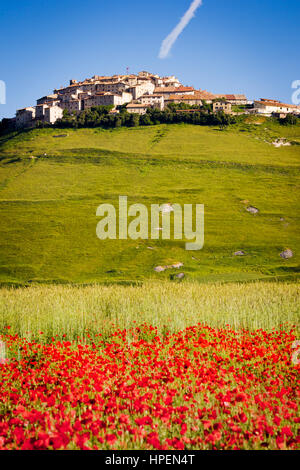 Castelluccio di Norcia, Umbrien, Italien. Piana Grande Tal Landschaft voller Blumen mit Monte Vettore im Hintergrund Stockfoto