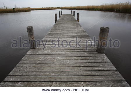 Eine Promenade in Österreich am Neusiedler See an einem bewölkten Nachmittag. Stockfoto