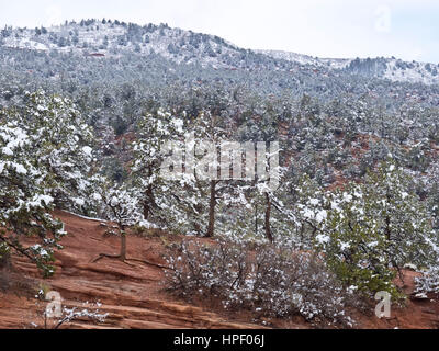 American, American West, Colorado, Colorado Springs, Konglomerate, Garten der Götter, Geologie, Landschaft, Kalkstein, National Natural Landmark, Nordamerika, Volkspark, rot, Felsformationen, Rocky Mountains, Sandstein, Schnee, Bäume, USA, Westen, Winter, Natur, Felsen Stockfoto