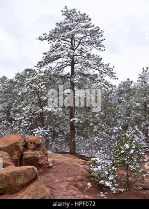 American, American West, Colorado, Colorado Springs, Konglomerate, Garten der Götter, Geologie, Landschaft, Kalkstein, National Natural Landmark, Nordamerika, Volkspark, rot, Felsformationen, Rocky Mountains, Sandstein, Schnee, USA, Westen, Winter, Natur, Felsen Stockfoto