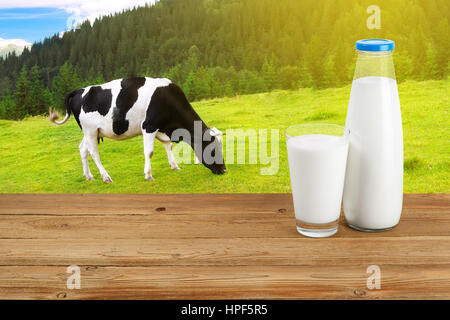 Milch im Glas und in der Flasche am Tisch mit grasende Kuh auf der Wiese mit Sonne im Hintergrund. Flasche und Glas Milch auf Holztisch mit Kuh Stockfoto
