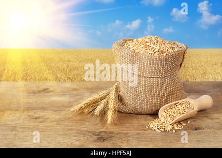 Weizenkörner in Sack. Ohren des Weizens und Weizenkörner in Tasche am Holztisch auf Weizenfeld mit Sonnenschein Hintergrund. Landwirtschaft und Ernte-Konzept. Stockfoto