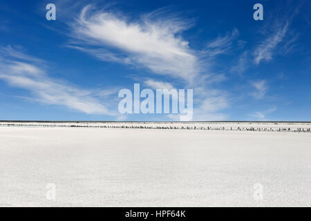 Blick auf Wüstenlandschaft und salzige See im Hintergrund des blauen Himmels. Bucht Seebär arbeitet mit rosa Salz und verwitterte Holz Wäscheklammern Stockfoto