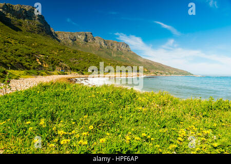 Küste entlang den Chapmans Peak Drive in der Nähe von Kapstadt in Südafrika, Afrika Stockfoto