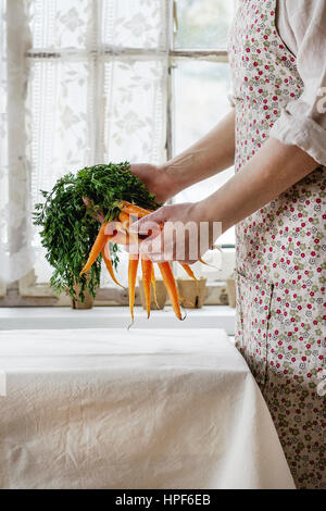 Bündel von frischen jungen Karotten mit grünen Kraut unter Sieb in weiblichen Händen in der Nähe von weißen Tischdecke Tisch mit Fenster im Hintergrund. Frau im rustikalen ein Stockfoto