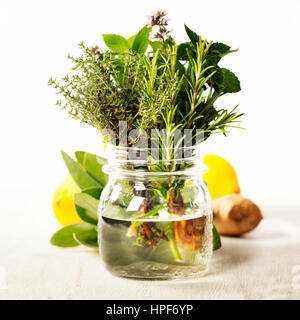 Kräuter und Gewürze Auswahl auf weißem Hintergrund Stockfoto