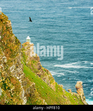 Leuchtturm am Cape Point National Park, Western Cape, Südafrika Stockfoto