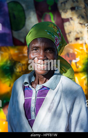 In Simbabwe nahe der Grenze zum Hwange-Nationalpark zeigen Handwerker ihre Kuriositäten. Stockfoto