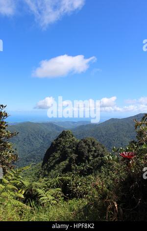 El Yunque Stockfoto