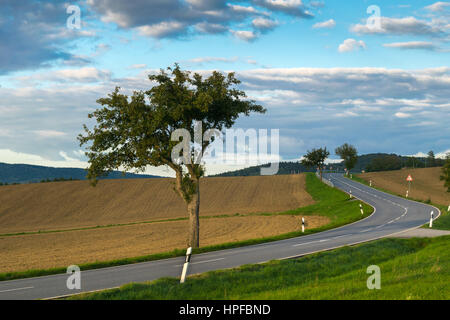 Sonnenuntergang über Felder, Landseite, Elbsandsteingebirge, Rathen, Nationalpark Sächsische Schweiz, Nationalpark sächsischen Schweiz, Deutschland, Europa Stockfoto