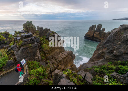 Sandsteinfelsen, rock Formation Pancake Rocks, Paparoa Nationalpark, Punakaiki, Westküste, Southland, Neuseeland Stockfoto