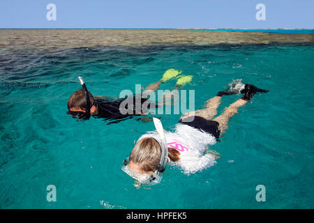 Mann, Frau, Schnorcheln, Korallenriff, Rotes Meer, Ägypten Stockfoto