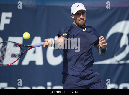 Delray Beach, FL, USA. 21. Februar 2017. DELRAY BEACH, FL - 21 Februar: Steve Johnson(USA) in Aktion hier besiegt Stefan Kozlov(USA) 61 64 in 2017 Delray Beach öffnen ATP 250 Ereignis in gehalten in Delray Beach, Florida. Bildnachweis: Andrew Patron/Zuma Draht Credit: Andrew Patron/ZUMA Draht/Alamy Live-Nachrichten Stockfoto