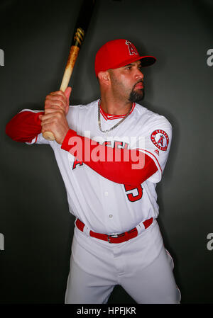 Tempe, AZ, USA. 21. Februar 2017. TEMPE, AZ - FEB. 21, 2017 - Los Angeles Angels of Anaheim Infielder Albert Pujols. Bildnachweis: K.c. Alfred/San Diego Union-Tribune/ZUMA Draht/Alamy Live-Nachrichten Stockfoto