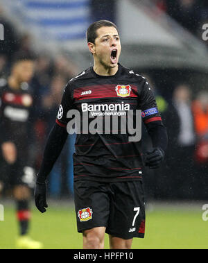 Leverkusen, Deutschland. 21. Februar 2017. Javier Hernandez Chicharito (Bayer 04 Leverkusen) zeigt seine Enttäuschung in der Champions-League-Spiel zwischen Bayer 04 Leverkusen und Atletico Madrid, Bayarena in Leverkusen am 21. Februar 2017. | Verwendung Weltweit Credit: Dpa/Alamy Live-Nachrichten Stockfoto