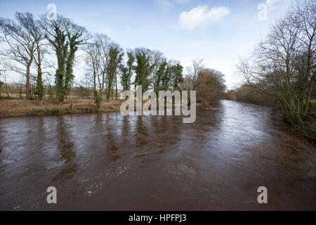 Otley, West Yorkshire, Großbritannien. 22. Februar 2017. Hohen Flußniveaus auf dem Fluß Wharfe nahe Otley, Leeds, West Yorkshire Credit: Windmühle Bilder/Alamy Live News Stockfoto