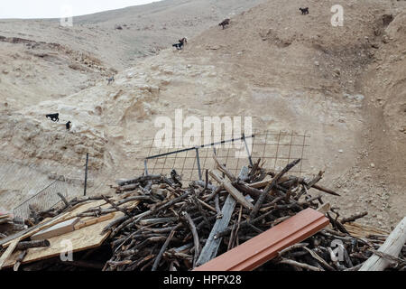 Westjordanland, Israel. 22. Februar 2017. Ein Beduine Gastfreundschaft wird von Sahari, eine vor kurzem gegründete non-Profit-Organisation registriert unter der palästinensischen Autonomiebehörde, die darauf abzielt, Wüste Tourismusdienstleistungen und direkten Einkommensbeihilfen für die Verbesserung der Lebensbedingungen der Jahalin Gemeinschaft bereitgestellt. Einige 6.000 West Bank Jahalin-Beduinen stehen vor einer ungewissen Zukunft unter Androhung der Räumung von Land, das sie durchstreifen zwischen Ost-Jerusalem und im Jordan-Tal nördlich von Jericho umgesiedelt werden. Stockfoto