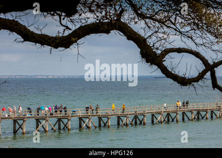Holzsteg, Le Bois De La Chaise. Insel Noirmoutier. Atlantik-Küste. Vendée Provinz. Frankreich Stockfoto