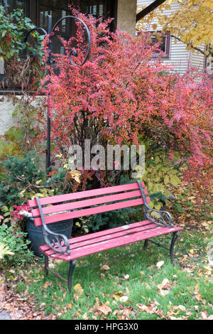 St. Paul Minnesota MN USA - Blätter schöne rote Nachbarschaft Herbsttag mit Gebüsch und Bank warten. Stockfoto