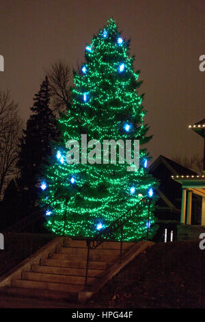 Hoch dekoriert mit blauen und grünen Weihnachtsbeleuchtung Evergreen von Summit Avenue betrachtet. St Paul Minnesota MN USA Stockfoto