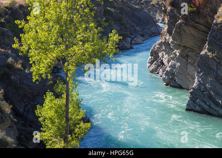 Cromwell, Otago, Neuseeland. Das türkisfarbene Wasser des Flusses Kawarau Rauschen durch die Kawarau Schlucht flussabwärts von Roaring Meg fällt. Stockfoto